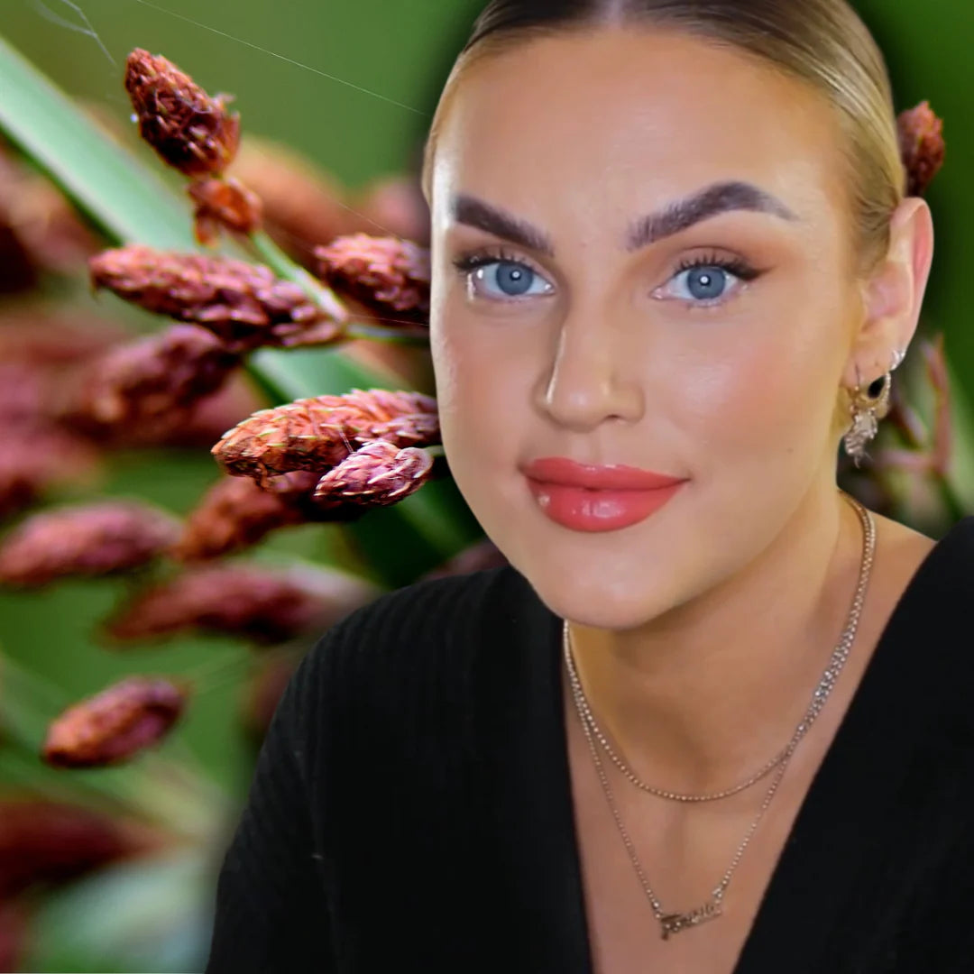 THE MEADOW NR 3.1 LIMOSA