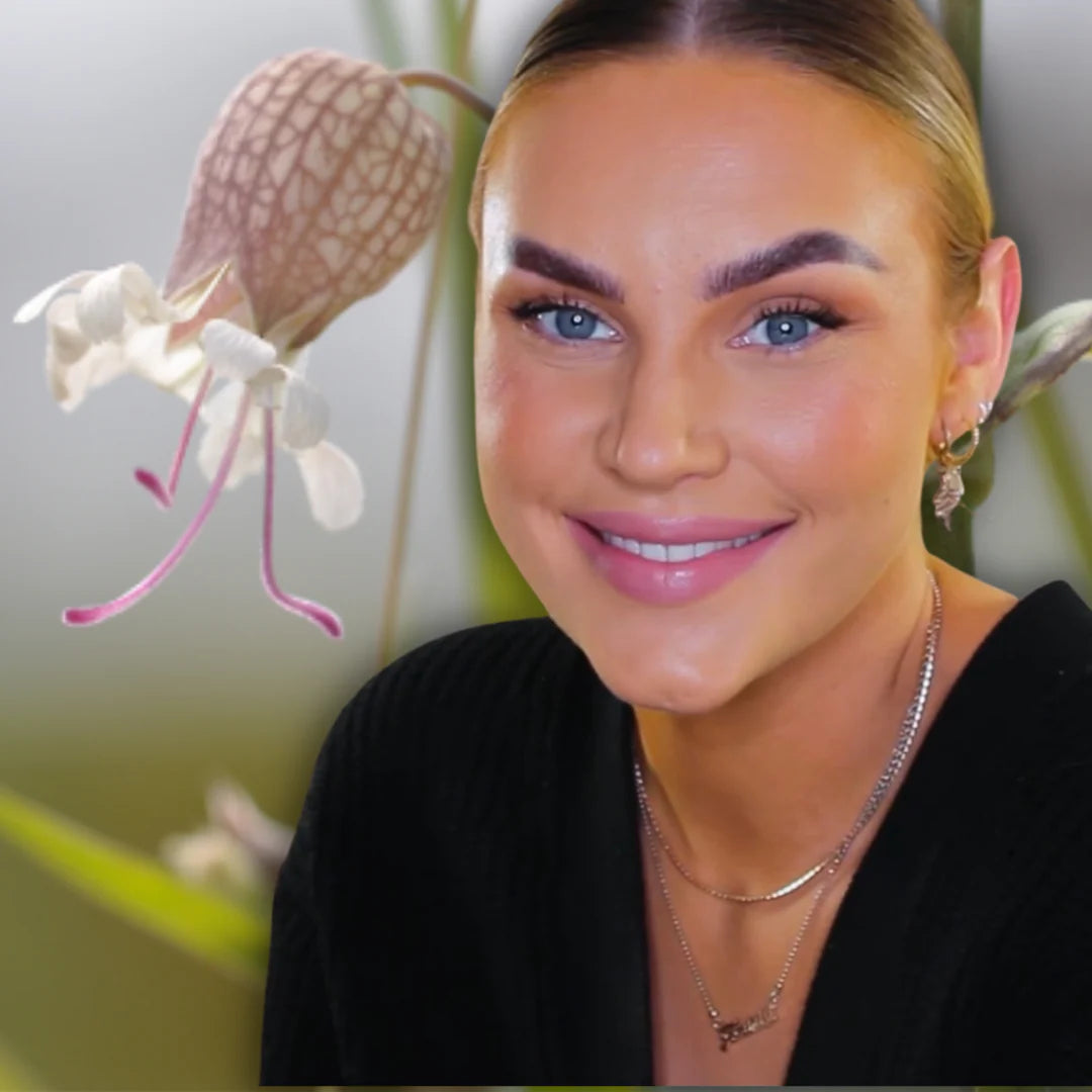 THE MEADOW NR 2 SILENE